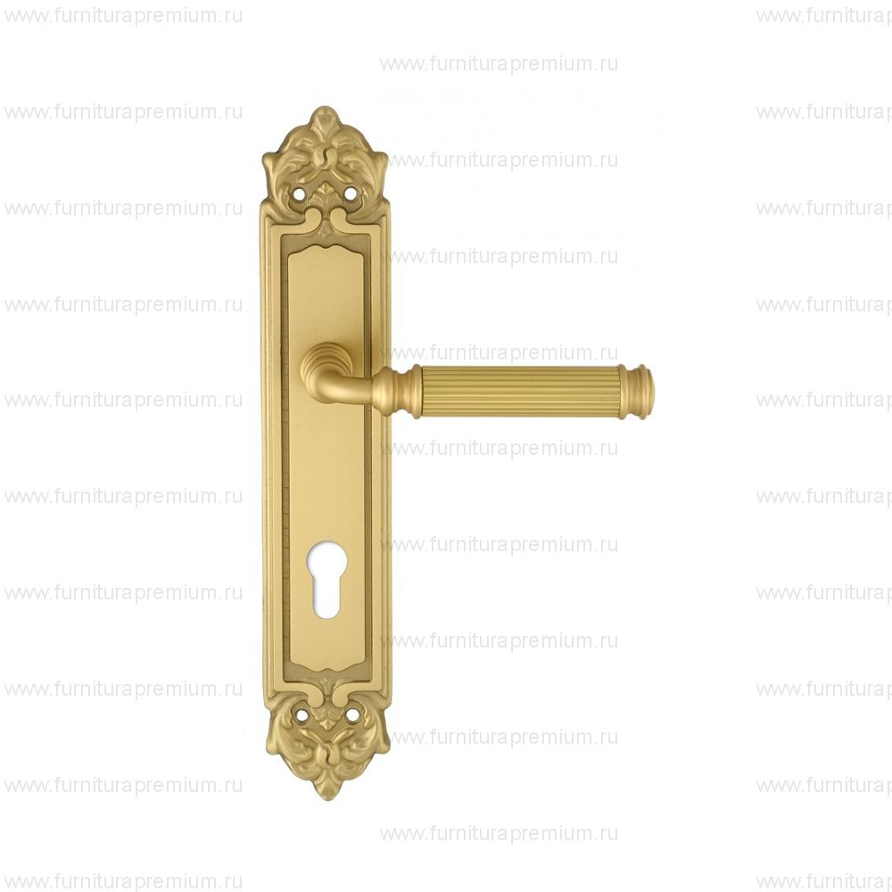 Ручка на планке Extreza Benito 307 CYL PL02