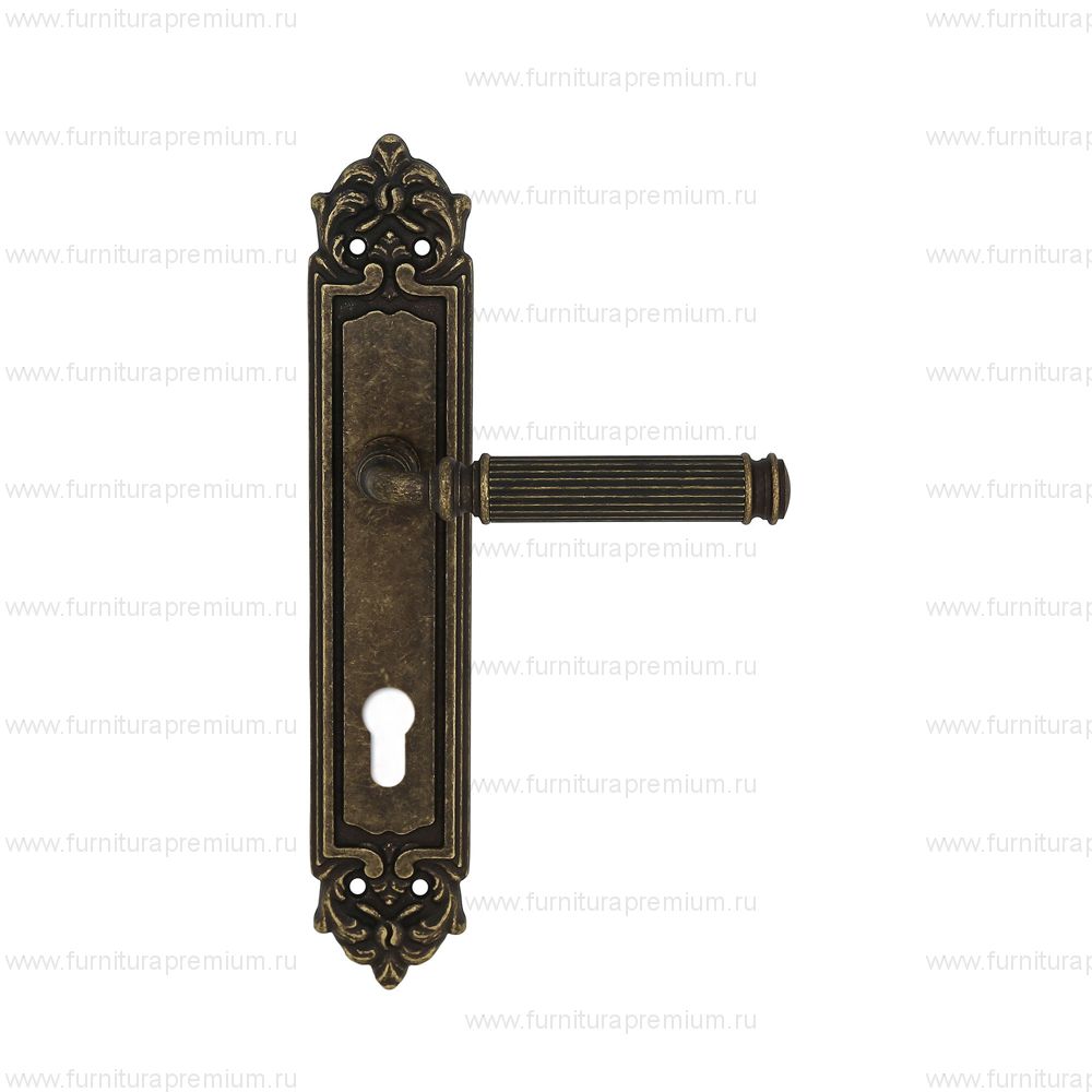 Ручка на планке Extreza Benito 307 CYL PL02