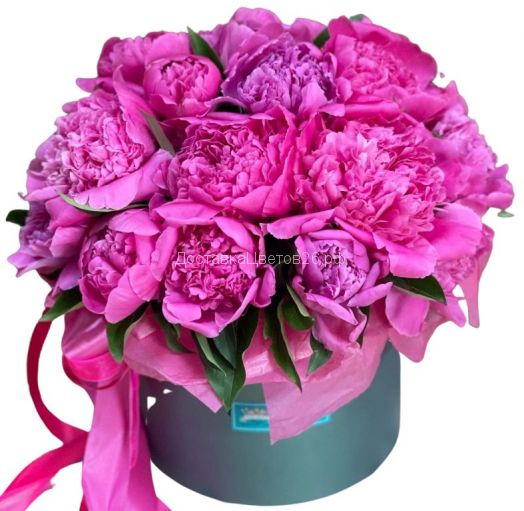 Композиция Валенсия