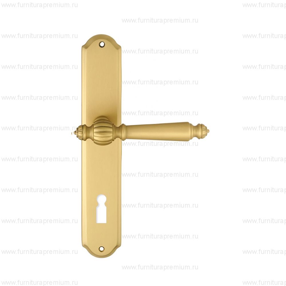 Ручка на планке Extreza Daniel 308 KEY PL01