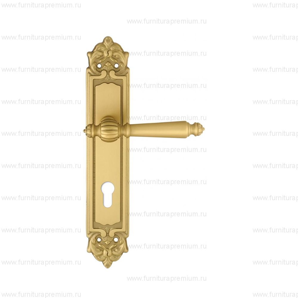 Ручка на планке Extreza Daniel 308 KEY PL02