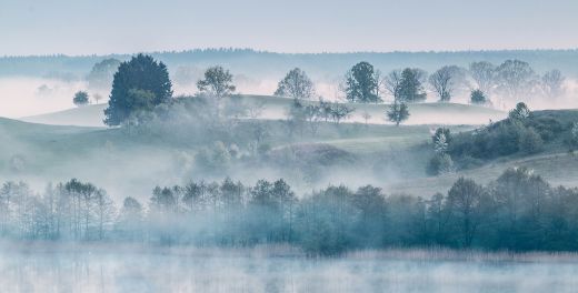 Foggy Hills