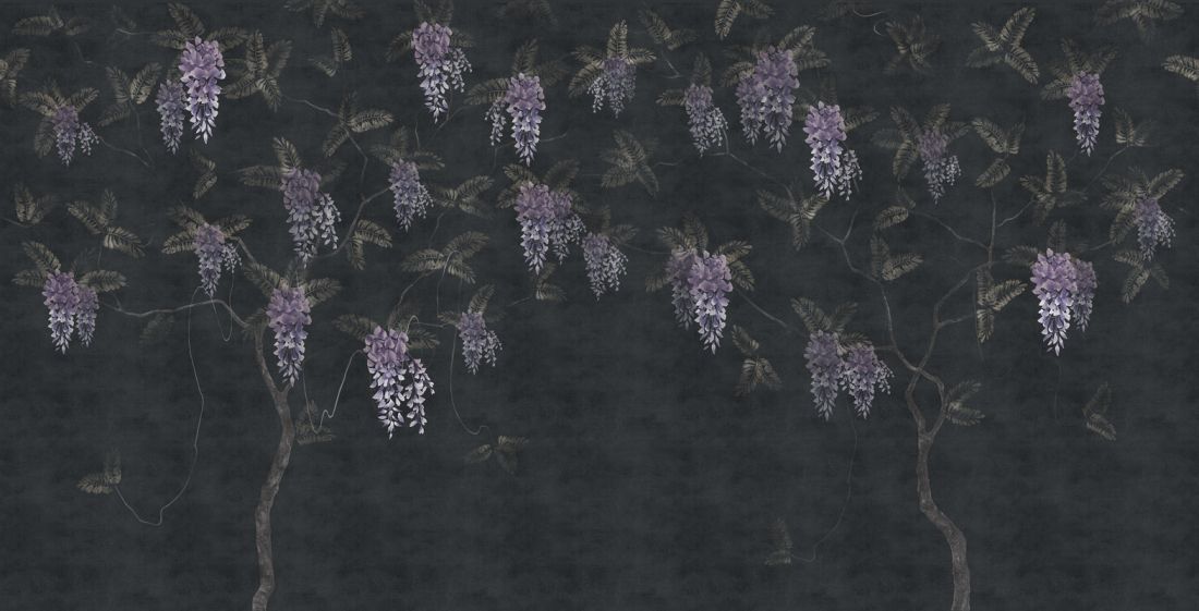 Wisteria, Dark