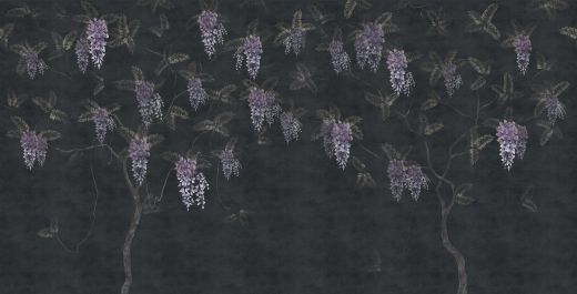 Wisteria, Dark