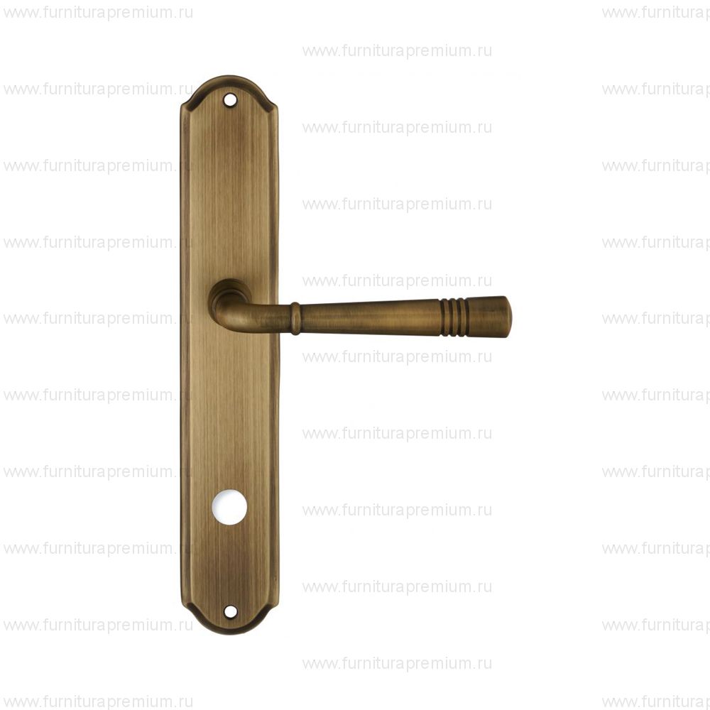 Ручка на планке Extreza Gusto 334 WC PL01