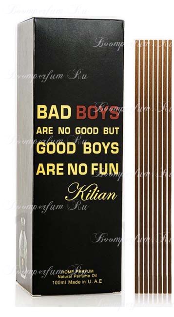 Аромадиффузор Bad Boys Are No Good But Good Boys Are No Fun 100 ml