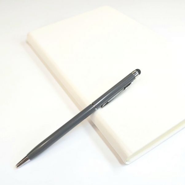 Ручка со стилусом TouchWriter серая