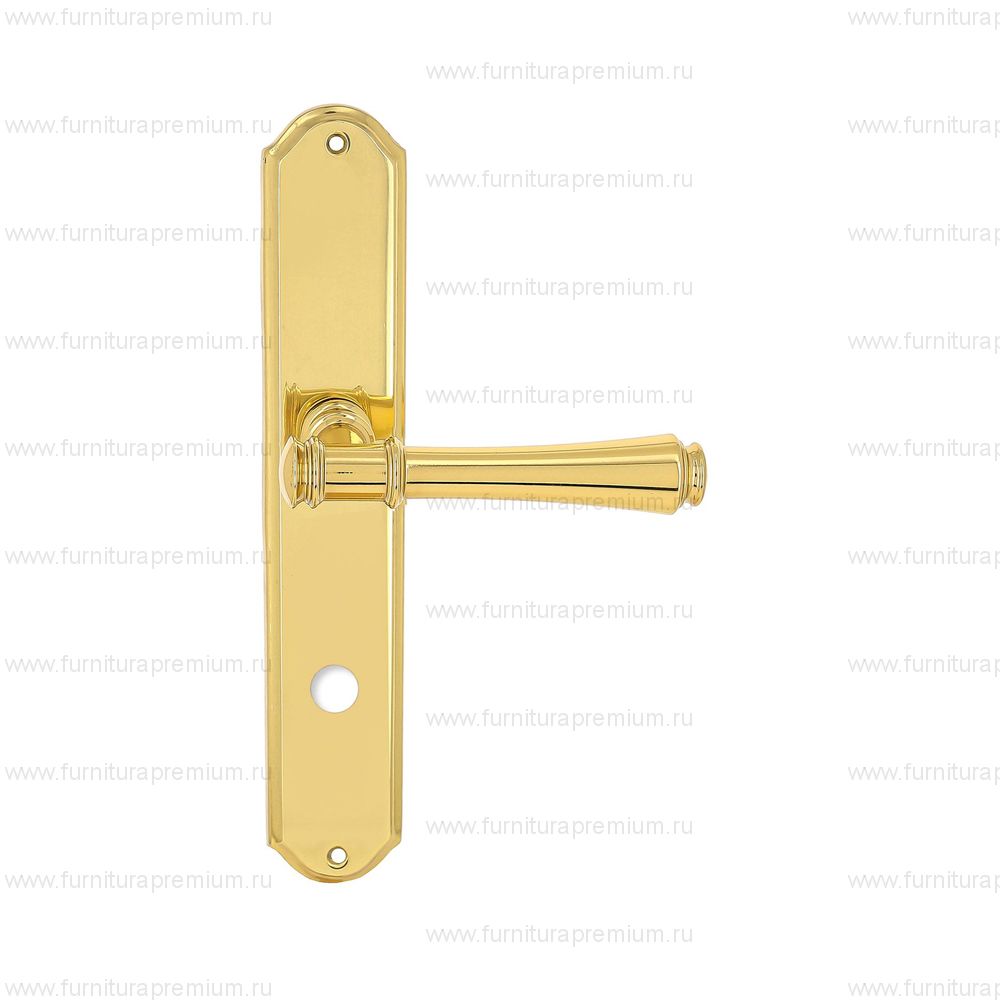 Ручка на планке Extreza Piero 326 WC PL01