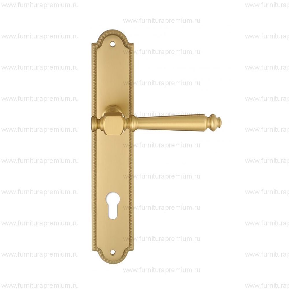 Ручка на планке Extreza Veronika 325 CYL PL03