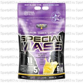 Maxler Special Mass Gainer 6lb  Rich Chocolate