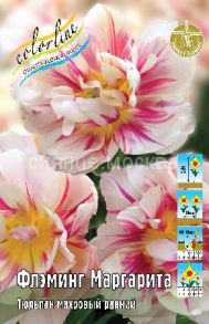 Тюльпан Флэминг Маргарита махровый, 11/12, 1 шт