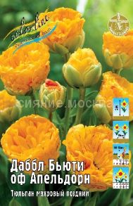 Тюльпан ДАББЛ БЬЮТИ оф АПЕЛЬДОРН густомахровый (Гибриды Дарвина) 11/12, 1 шт