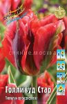 Tyulpan-Gollivud-Star-seriya-zelenocvetnyj-11-12-1-sht