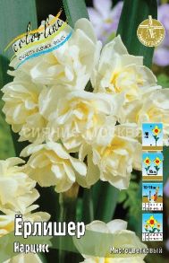 Нарцисс Ёрлишер Narcissus Erlicheer махровый многоцветковый, 13/14, 1 шт