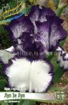 Iris-germanskij-Lup-ze-Lup-1-sht