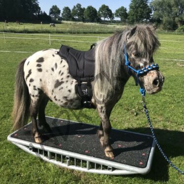 Пад для пони Barefoot Ride-on-Pad Pony с подпругой