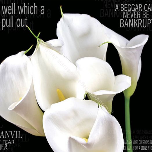 Стеновая панель серия SP 086 2800 мм глянец