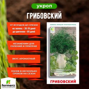 Семена Укроп Грибовский 3гр.