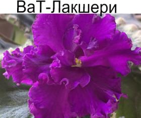 ВаТ-Лакшери (Валькова)