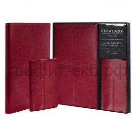 Набор Феникс+ САРИФ Книжка зап. А5+ 120л.кл.+ обложка для паспорта красный 64045