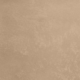 Декоративная Штукатурка Decorazza Aretino 1л AR 10-24 с Эффектом Перламутровых Переливов / Декоразза Аретино.