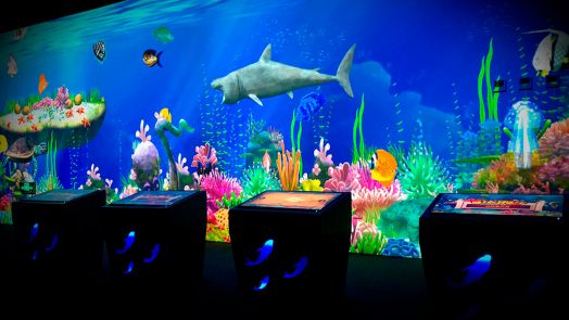 Ожившие рисунки комплект №4 (Планшет 10 Дюймов+Софт+ Интерактивная панель 55 Дюймов)