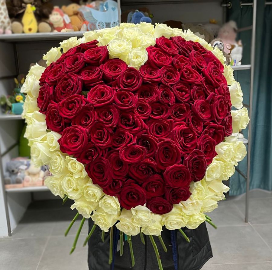 101 высокая роза