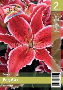 Лилия Ред Айз (RED EYES), восточный гибрид, 13/14, 2 шт