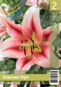 Лилия ОЛИМПИК ТОРЧ (OLYMPIC TORCH), ОТ-гибрид 12/14, 2 шт