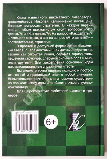 Стратегия для начинающих - Калиниченко Н.М.