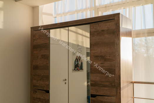 Шкаф для одежды 33.02 Лючия (3 - х дверный), Кейптаун/Венге