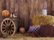 Фон стена "Izba wall №3"