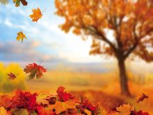 Фон стена "Fallen wall"