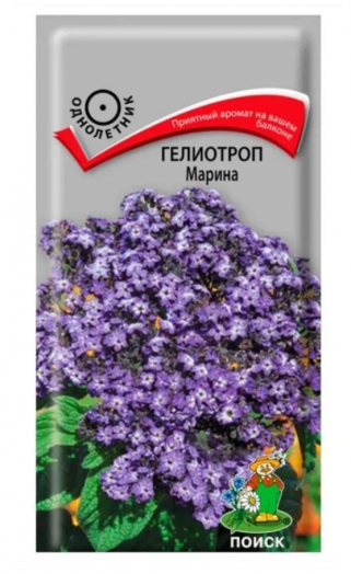 Семена Гелиотроп древовидный Марина
