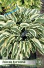 HOSTA-LeJKSAJD-DRAGONFLAJ-LAKESIDE-DRAGONFLY-1-sht
