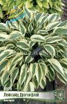 HOSTA-LeJKSAJD-DRAGONFLAJ-LAKESIDE-DRAGONFLY-1-sht
