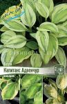 HOSTA-KAPITANS-ADVeNChUR-CAPITAN-039-S-ADVENTURE-1-sht