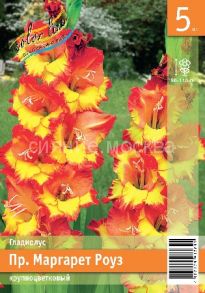 ГЛАДИОЛУС ПР.МАРГАРЕТ РОУЗ (PR. MARGARET ROSE) 10/12 5 шт