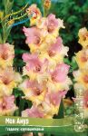 GLADIOLUS-MON-AMUR-MON-AMOUR-10-12-8-sht