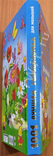 1001 лучшая головоломка