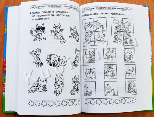 1001 задачка для развития детей