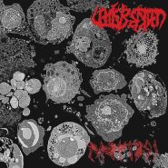 UNKREATED - Apoptosi