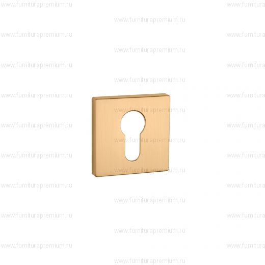 Накладка на замок с цилиндром Aprile Premium PZ Q