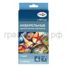 Карандаши акв.12цв.Гамма Студия 110822_12