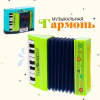 Музыкальная игрушка «Музыкальный взрыв», гармонь, МИКС