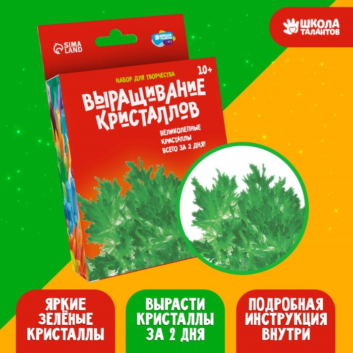 Набор для творчества «Лучистые кристаллы», цвет зелёный