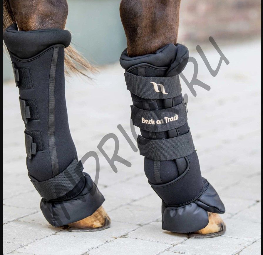 Денниковые ногавки с ватниками Back on Track Royal Deluxe черные