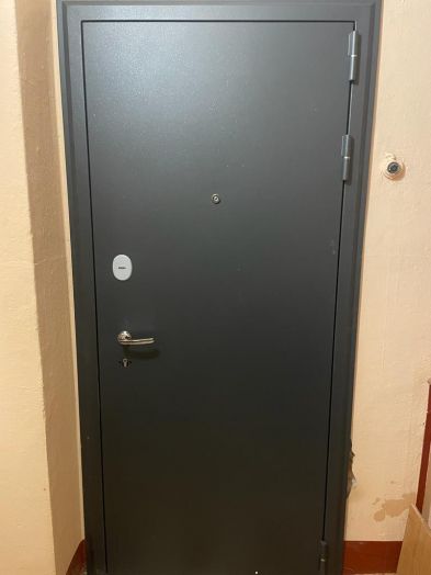 Дверь Входная REX Спартак серый муар