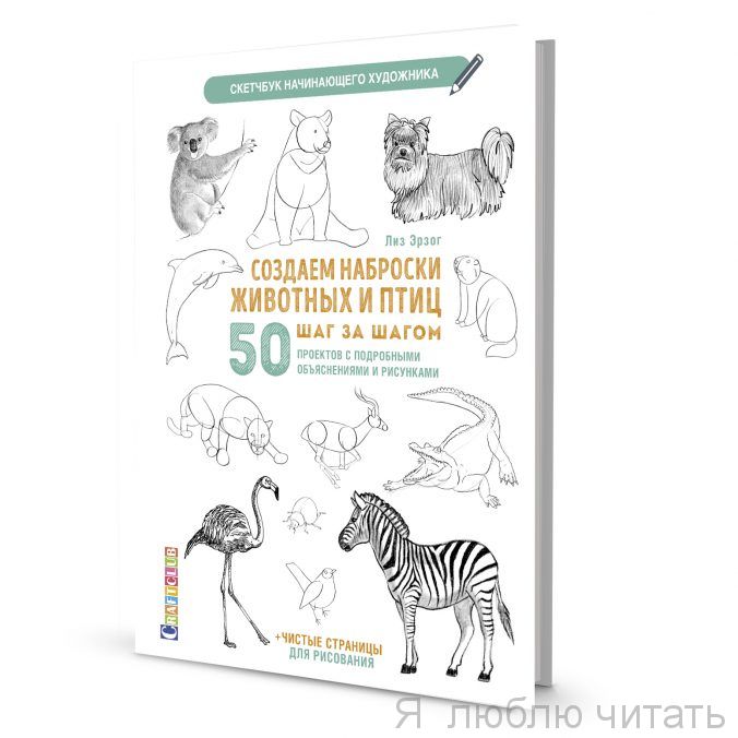 Скетчбук. Создаем наброски животных и птиц шаг за шагом