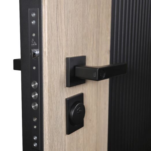 Дверь входная Конструктор с зеркалом и электронной ручкой